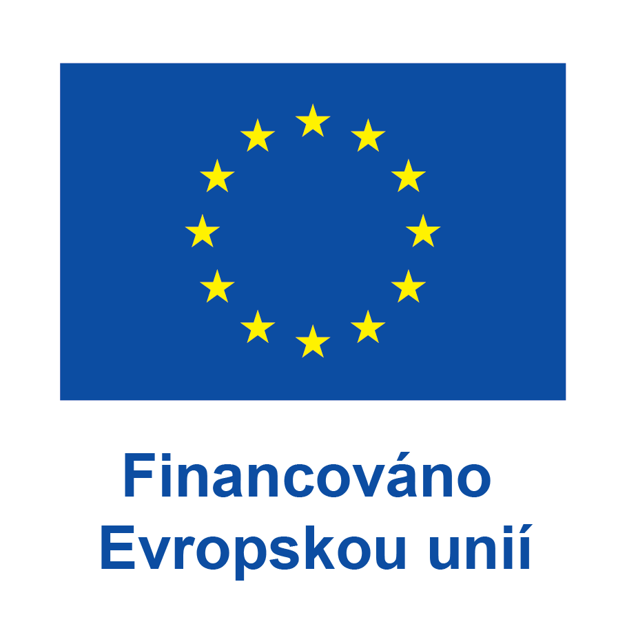Financováno Evropskou unií